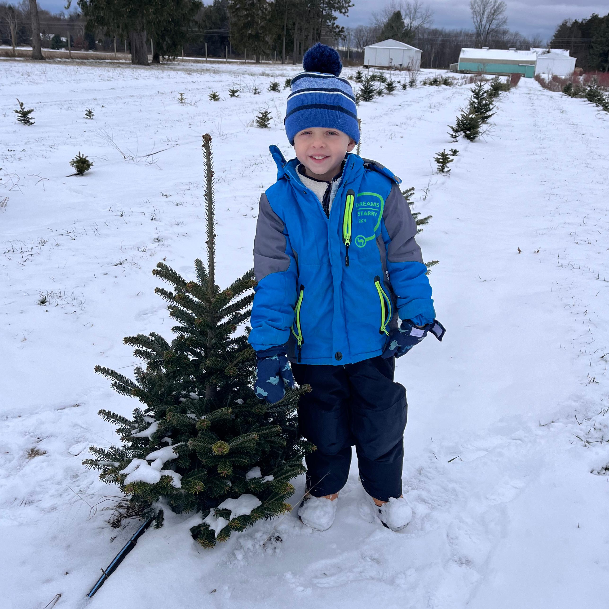 A young boy standing next to a small tabletop Christmas tree.